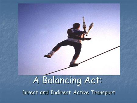 A Balancing Act: Direct and Indirect Active Transport