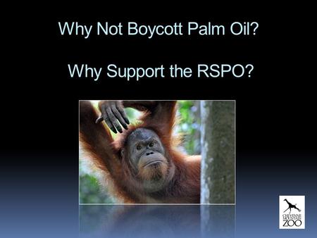 Why Not Boycott Palm Oil? Why Support the RSPO?. Why We Do Not Support Boycotting Palm Oil  Indonesia and Malaysia struggle with poverty… developing.