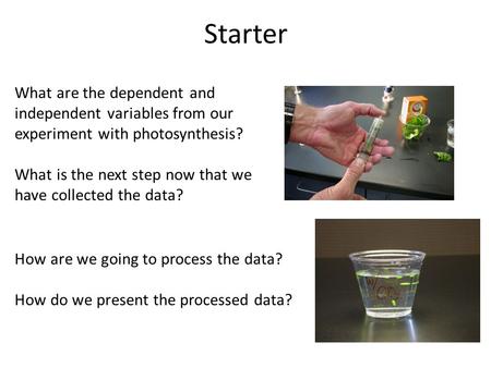 Starter What are the dependent and independent variables from our experiment with photosynthesis? What is the next step now that we have collected the.