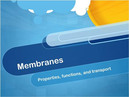 Membranes Properties, functions, and transport. WHAT IS THE PLASMA MEMBRANE? A selectively permeable membrane, which encloses the cell (may also be called.