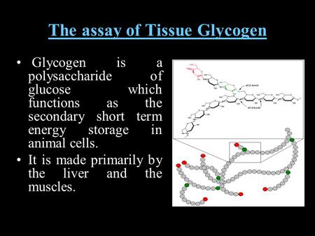 The assay of Tissue Glycogen Glycogen is a polysaccharide of glucose which functions as the secondary short term energy storage in animal cells. It is.