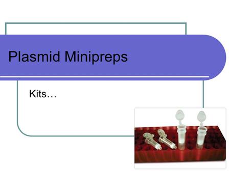 Plasmid Minipreps Kits….