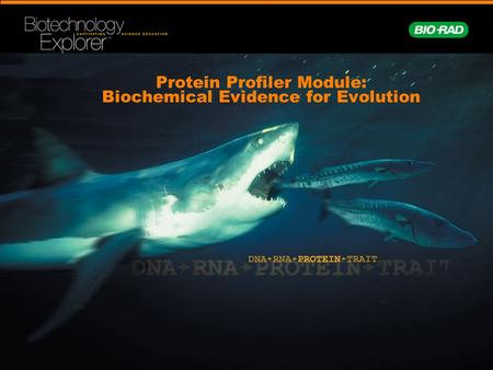 Protein Profiler Module: Biochemical Evidence for Evolution.