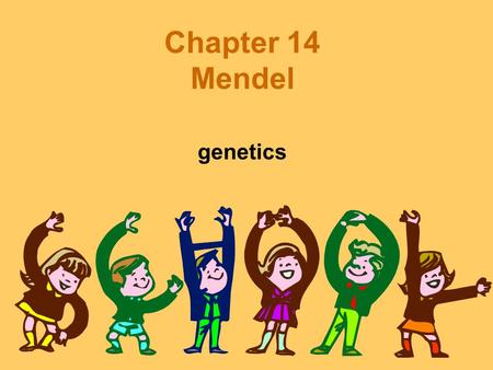 Chapter 14 Mendel genetics. Gregor Mendel Pea plants –Advantages Variety of characteristics –Seed color Many different traits –Yellow, green.