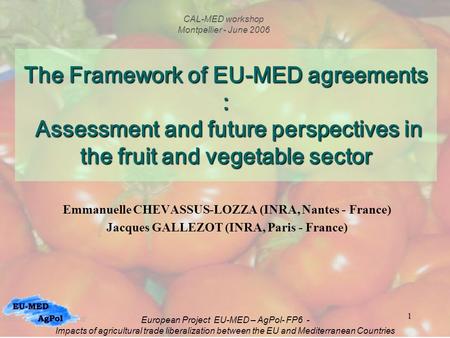 1 The Framework of EU-MED agreements : Assessment and future perspectives in the fruit and vegetable sector Emmanuelle CHEVASSUS-LOZZA (INRA, Nantes -