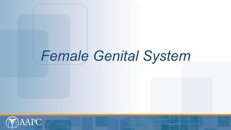 Female Genital System.