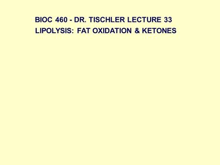 LIPOLYSIS: FAT OXIDATION & KETONES BIOC 460 - DR. TISCHLER LECTURE 33.