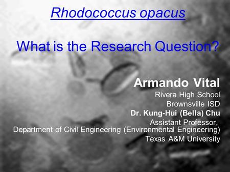 Rhodococcus opacus What is the Research Question? Armando Vital Rivera High School Brownsville ISD Dr. Kung-Hui (Bella) Chu Assistant Professor, Department.
