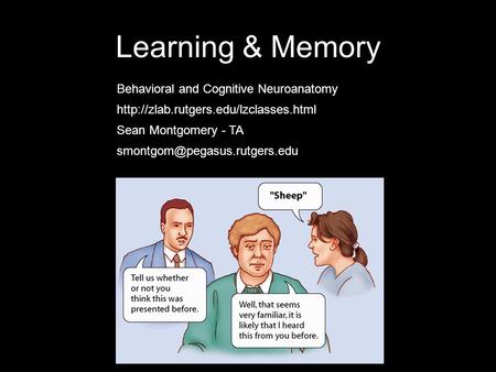 Learning & Memory Sean Montgomery - TA Behavioral and Cognitive Neuroanatomy