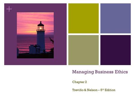+ Managing Business Ethics Chapter 2 Treviño & Nelson – 5 th Edition.