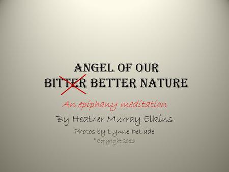 Angel of our bitter better Nature An epiphany meditation By Heather Murray Elkins Photos by Lynne DeLade © Copyright 2013.