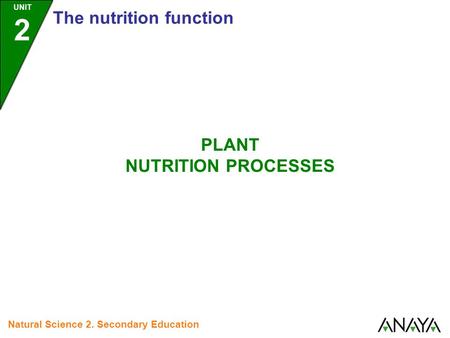 PLANT NUTRITION PROCESSES