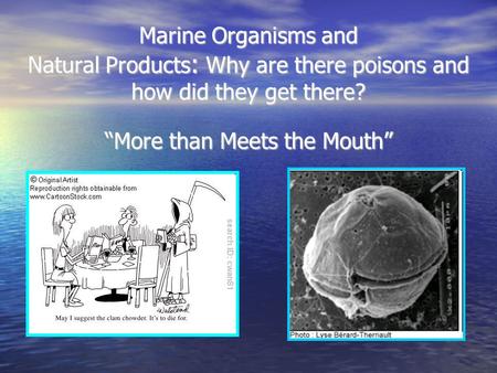 Marine Organisms and Natural Products : Why are there poisons and how did they get there? “More than Meets the Mouth”