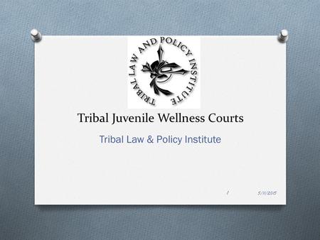 Tribal Juvenile Wellness Courts