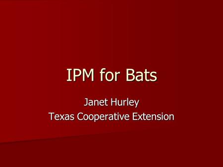IPM for Bats Janet Hurley Texas Cooperative Extension.