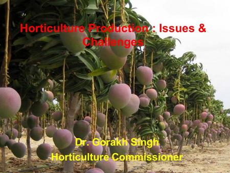 Horticulture Production : Issues & Challenges