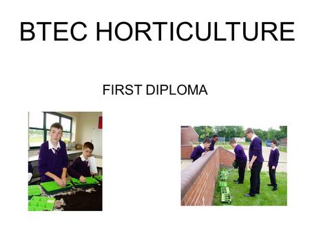 BTEC HORTICULTURE FIRST DIPLOMA. Practically based – opportunity to plan, grow and have responsibility for various horticultural areas within the school.