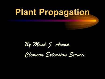 Plant Propagation By Mark J. Arena Clemson Extension Service.