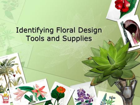 Identifying Floral Design Tools and Supplies