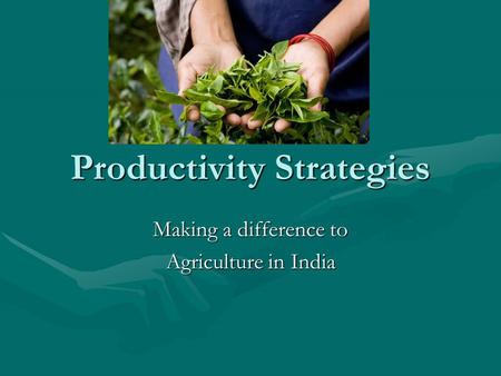 Productivity Strategies Making a difference to Agriculture in India.