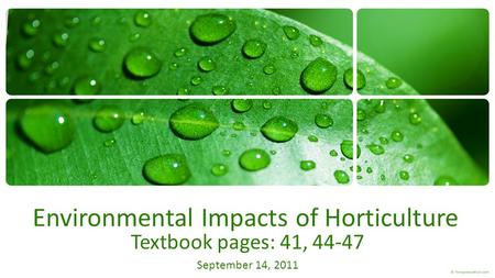 Environmental Impacts of Horticulture Textbook pages: 41, 44-47 September 14, 2011.