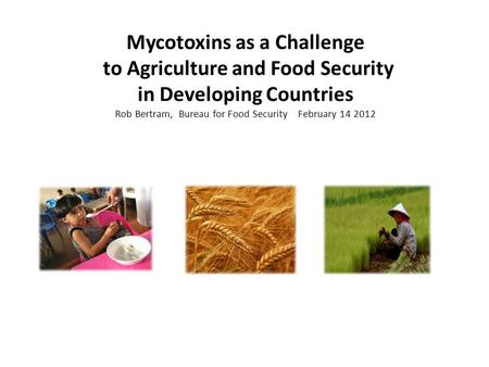 Mycotoxins as a Challenge to Agriculture and Food Security in Developing Countries Rob Bertram, Bureau for Food Security February 14 2012.