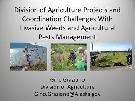Division of Agriculture Projects and Coordination Challenges With Invasive Weeds and Agricultural Pests Management Gino Graziano Division of Agriculture.