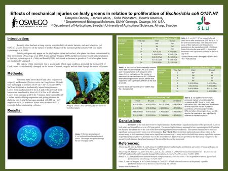 Effects of mechanical injuries on leafy greens in relation to proliferation of Escherichia coli O157:H7 Danyelle Osorio 1, Daniel Labuz 1, Sofia Windstam.
