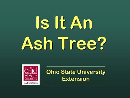 Is It An Ash Tree? Ohio State University Extension.