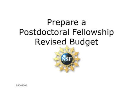 Prepare a Postdoctoral Fellowship Revised Budget BS042005.