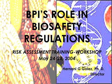 Hernani G Golez, Ph. D. Director BPI’S ROLE IN BIOSAFETY REGULATIONS RISK ASSESSMENT TRAINING-WORKSHOP May 24-28, 2004.
