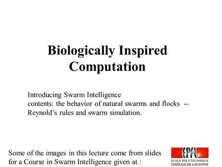 Biologically Inspired Computation Some of the images in this lecture come from slides for a Course in Swarm Intelligence given at : Introducing Swarm Intelligence.