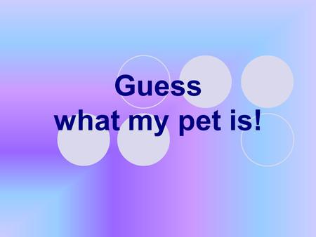 Guess what my pet is!. My pet 1. I have a pet. 2. His name is Willy. 3. Willy is not big, he is only three. 4. Willy is kind, beautiful and very clever.