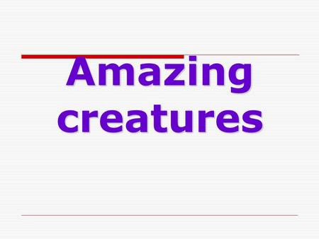 Amazing creatures. Practice Speaking aboutSpeaking about animals and pets; Listening;Listening; Writing tests andWriting tests and sending an e-mail;