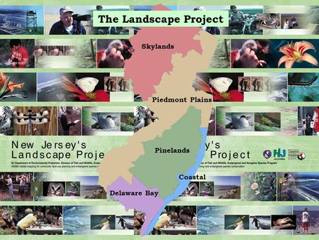 The Landscape Project Skylands Pinelands Piedmont Plains Delaware Bay Coastal.
