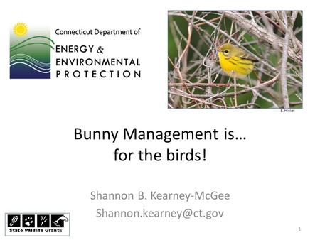 Bunny Management is… for the birds! Shannon B. Kearney-McGee E. Hinkel 1.