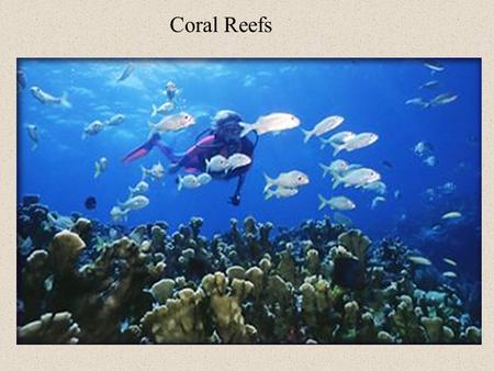 Coral Reefs. Coral reefs consist of many diverse species of corals. These corals in turn are made up of tiny organisms called polyps.