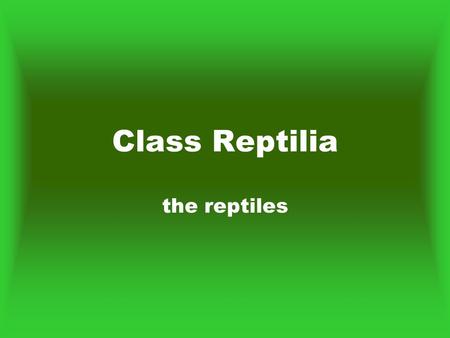 Class Reptilia the reptiles. General Characteristics Evolved from amphibians and most dominant on land Cold blooded – ectothermic –Activity is regulated.