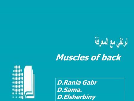 Muscles of back D.Rania Gabr D.Sama. D.Elsherbiny.