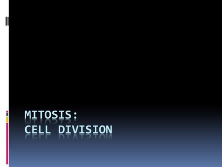 Mitosis: Cell Division