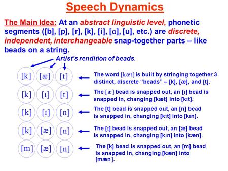 Speech Dynamics The Main Idea: At an abstract linguistic level, phonetic segments ([b], [p], [r], [k], [i], [ ɑ ], [u], etc.) are discrete, independent,
