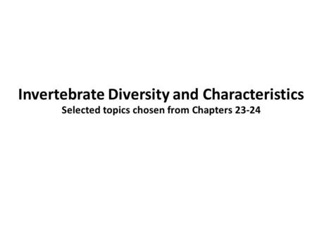 Invertebrate Diversity and Characteristics