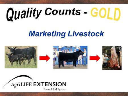 Marketing Livestock. One purpose of Quality Counts Reveal impact of 76,000 market projects.