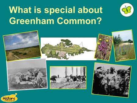 What is special about Greenham Common?. You are lucky to live near an area that is so full of history… Did you know that... A stone age axe head was found.