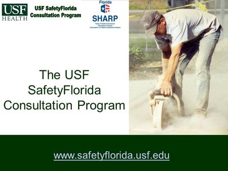 The USF SafetyFlorida Consultation Program www.safetyflorida.usf.edu.
