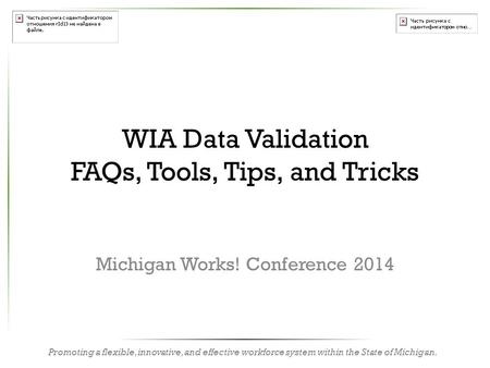Promoting a flexible, innovative, and effective workforce system within the State of Michigan. WIA Data Validation FAQs, Tools, Tips, and Tricks Michigan.