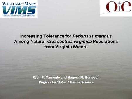 Increasing Tolerance for Perkinsus marinus Among Natural Crassostrea virginica Populations from Virginia Waters Ryan B. Carnegie and Eugene M. Burreson.