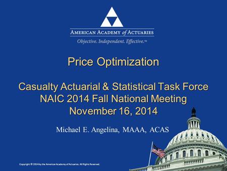Copyright © 2014 by the American Academy of Actuaries. All Rights Reserved. Michael E. Angelina, MAAA, ACAS Price Optimization Casualty Actuarial & Statistical.