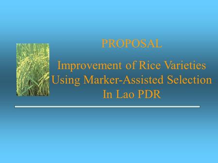 PROPOSAL Improvement of Rice Varieties Using Marker-Assisted Selection In Lao PDR.