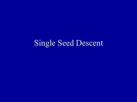 Single Seed Descent.